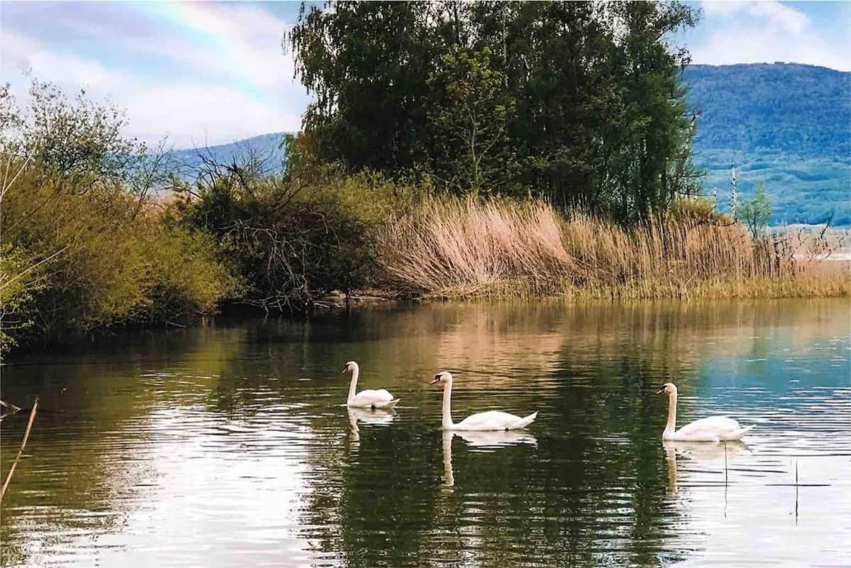 Lakeview Guesthouse With Two Bedrooms & Private Bathroom Chatillon  Extérieur photo